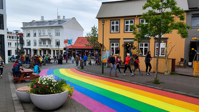 Booking a Reykjavik City Walking Tour with a Local Guide