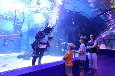 Antalya Aquarium: Explore Top Attractions & Tickets Guide
