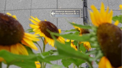 Amsterdam: Van Gogh Museum Skip-the-Ticket-Line Entry Ticket