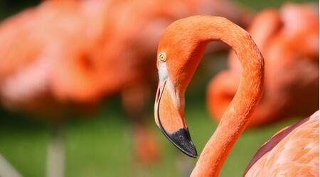  Cologne Zoo and Aquarium