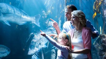  Family-friendly Activities