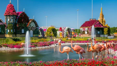  Dubai Miracle Garden