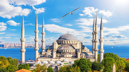  Blue Mosque Tickets