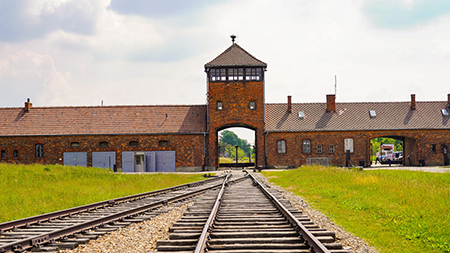  Auschwitz Birkenau Tours