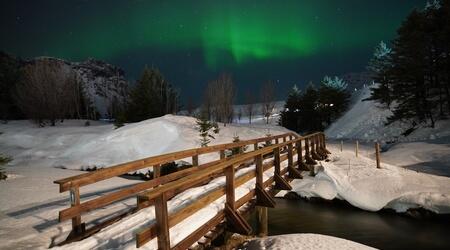  Northern Lights Sightseeing Cruise