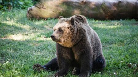  Rome Bioparco