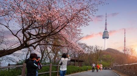  N Seoul Tower