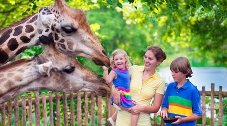  Singapore Zoo Tickets with Tram Ride