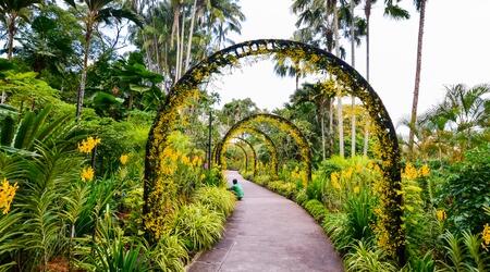  Singapore National Orchid Garden