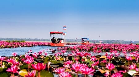  Singapore Original DUCKtours