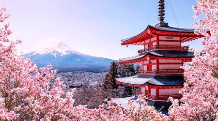  Mount Fuji Highlights Tour: Chureito Pagoda, Lake Kawaguchi, Oshino Hakkai