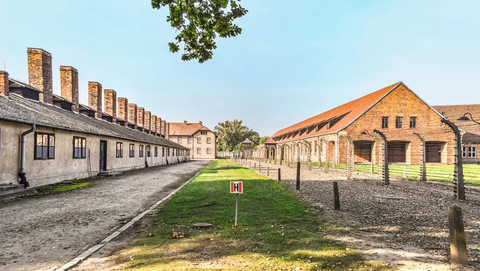 From Krakow: Auschwitz-Birkenau & Wieliczka Salt Mine Guided Tour