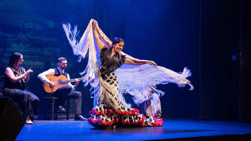 "Emociones" Live Flamenco Performance