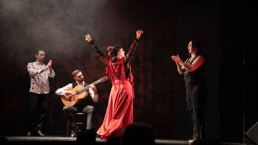 "Emociones" Live Flamenco Performance