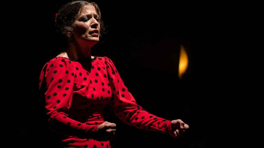 "Emociones" Live Flamenco Performance