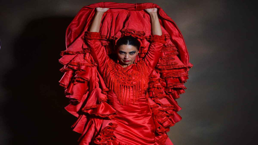 "Emociones" Live Flamenco Performance