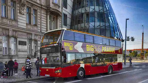 24-Hour Hop-On Hop-Off Bus