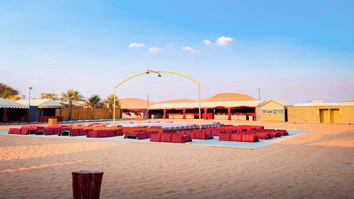 Desert Safari with BBQ Dinner, Camel Ride & Sandboarding