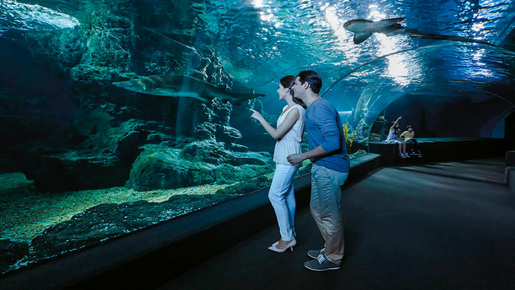 SEA LIFE Bangkok Ticket