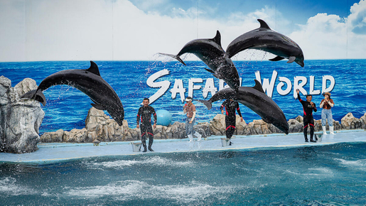 Safari World Bangkok Ticket