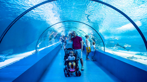 Barcelona Aquarium Ticket