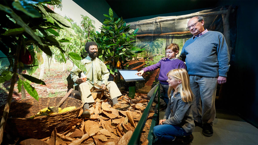 Chocolate Museum Ticket with Tasting
