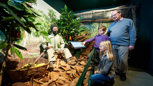 Chocolate Museum Ticket with Tasting