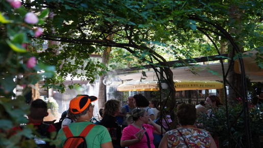 Old Town Walking Tour