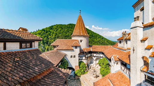 Dracula's Bran Castle, Peles Castle and Brasov Day Trip