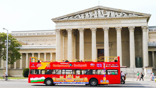Hop-On Hop-Off Bus with Danube River Cruise