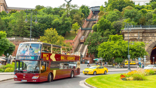 24-Hour Hop-On Hop-Off Bus with Danube Cruise