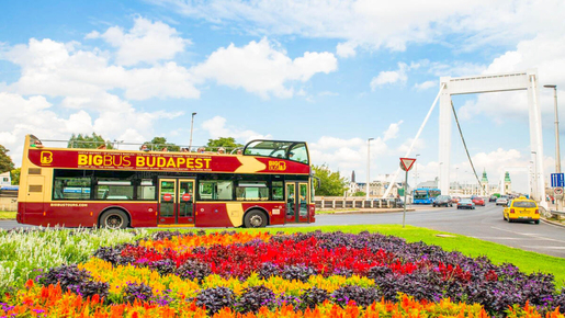 24-Hour Hop-On Hop-Off Bus with Danube Cruise