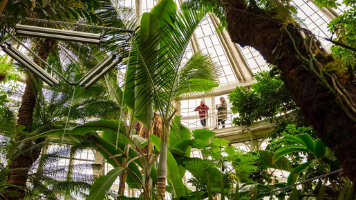 Copenhagen City Card: 80+ Attractions & Public Transport