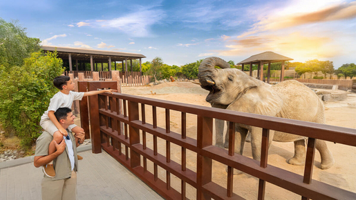 Safari Park Ticket with Explorer Safari & Shuttle Train