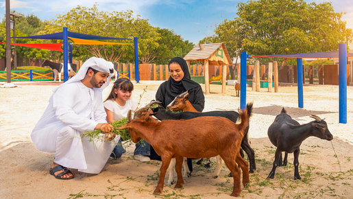 Safari Park Ticket with Explorer Safari & Shuttle Train