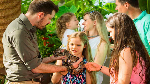 The Green Planet Ticket