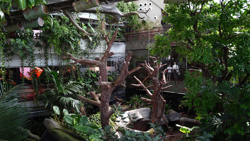 The Green Planet Ticket