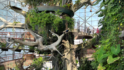 The Green Planet Ticket