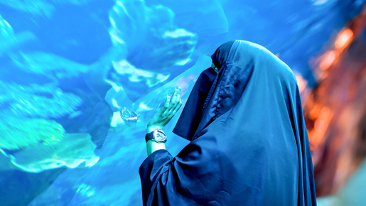 Dubai Aquarium & Underwater Zoo with Penguin Cove Ticket