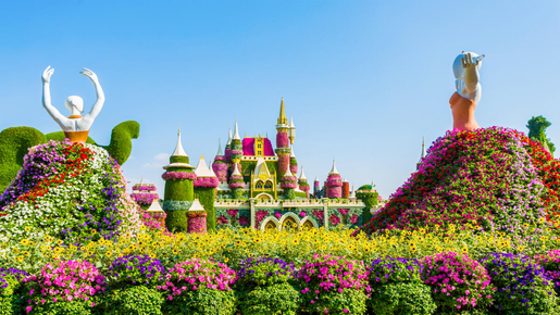 Dubai Miracle Garden Ticket