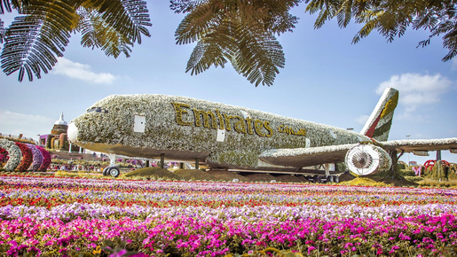 Dubai Miracle Garden Ticket