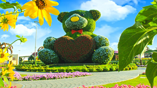 Dubai Miracle Garden Ticket