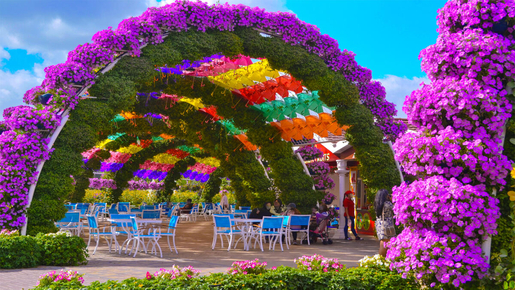 Dubai Miracle Garden Ticket