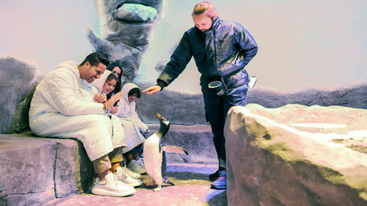 Dubai Aquarium & Underwater Zoo with Penguin Cove Ticket