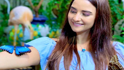 Dubai Butterfly Garden Ticket