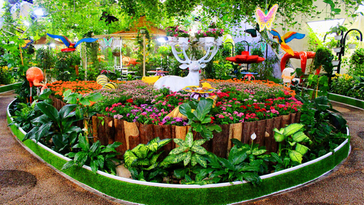Dubai Butterfly Garden Ticket