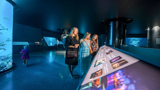 The View At The Palm Ticket