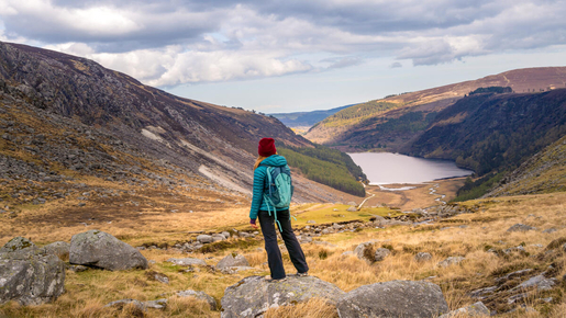 From Dublin: Glendalough, Wicklow & Kilkenny with Sheepdog Trails