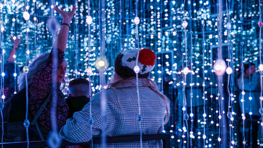 World of Illusion Entry Tickets