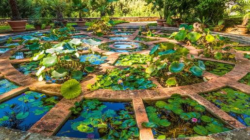 Pitti Palace & Palatine Gallery, Boboli & Bardini Gardens Ticket